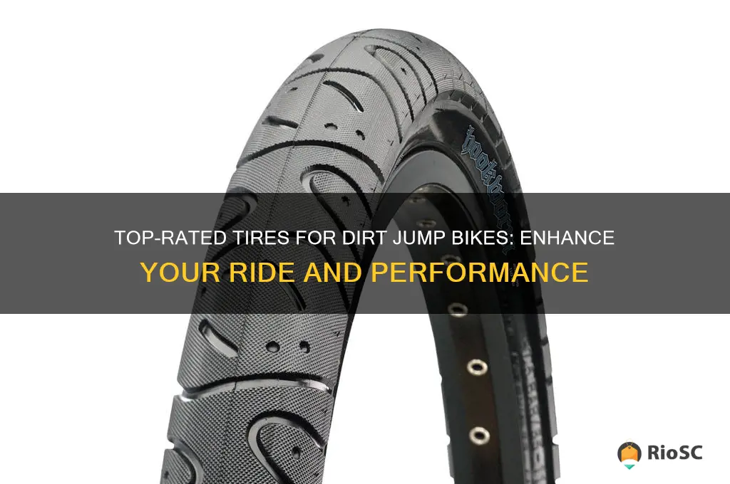 best tires for dirt jump bikes