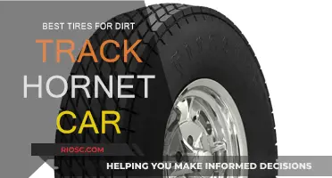 Dirt Track Hornet Car: Choosing the Right Tires for Maximum Performance