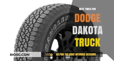 Top-Rated Tires for Dodge Dakota: Enhance Performance and Durability