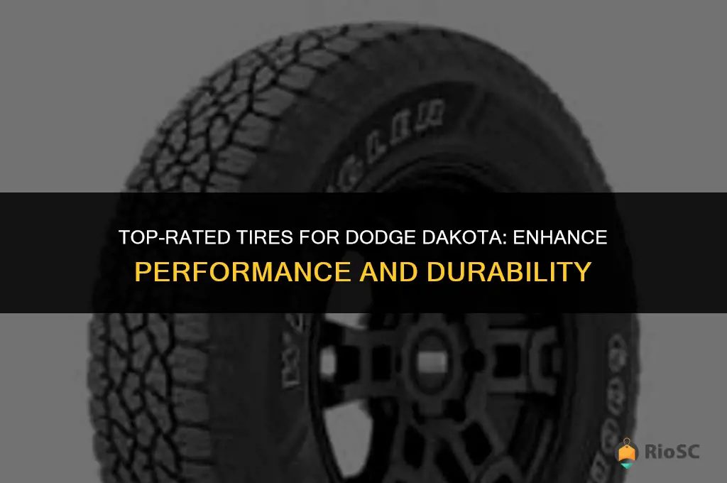 best tires for dodge dakota truck