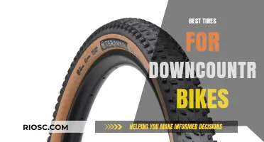 Top Downcountry Bike Tires: Performance, Durability, and Grip for Your Next Adventure