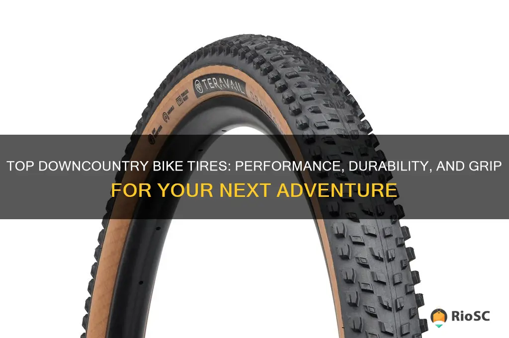 best tires for downcountry bikes