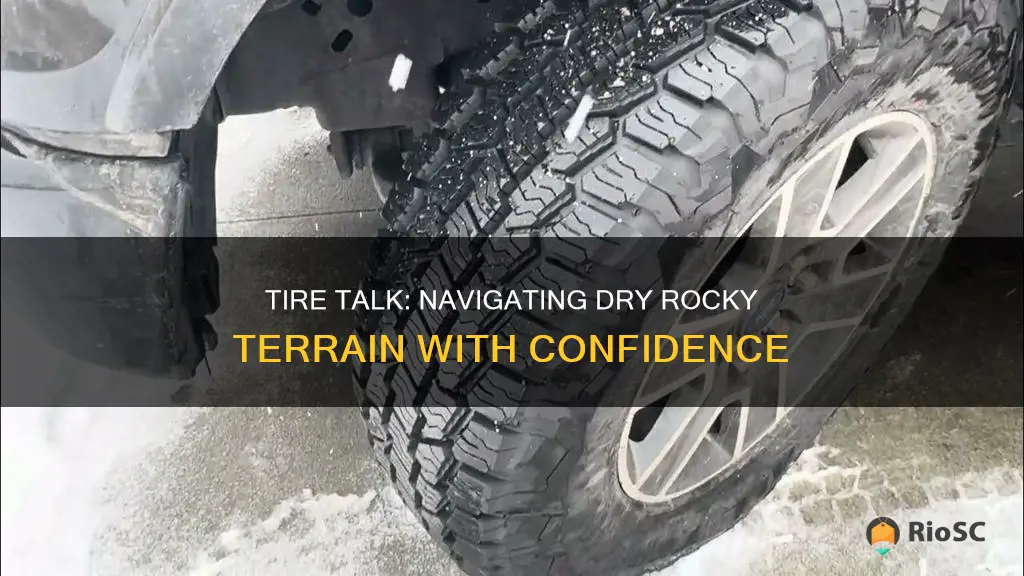 best tires for dry rocky terrain