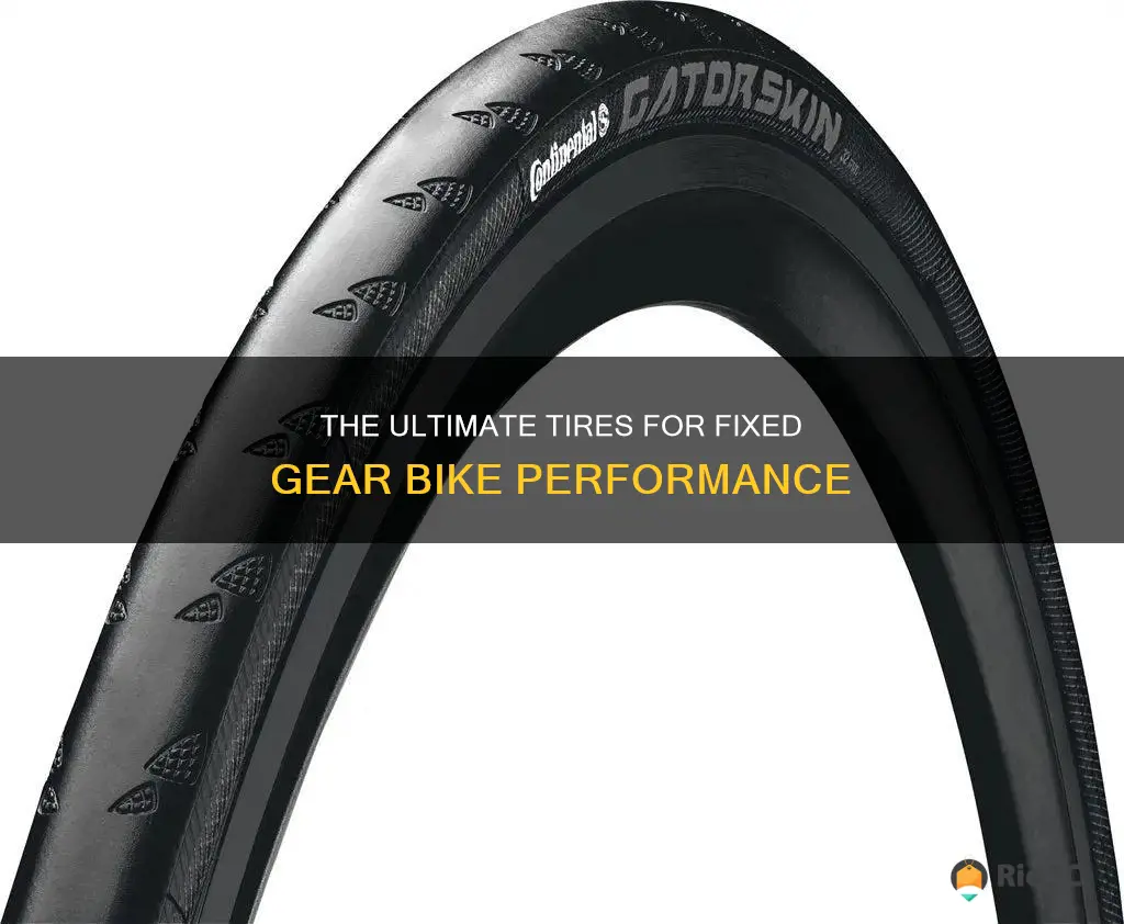 best tires for fixed gear bike