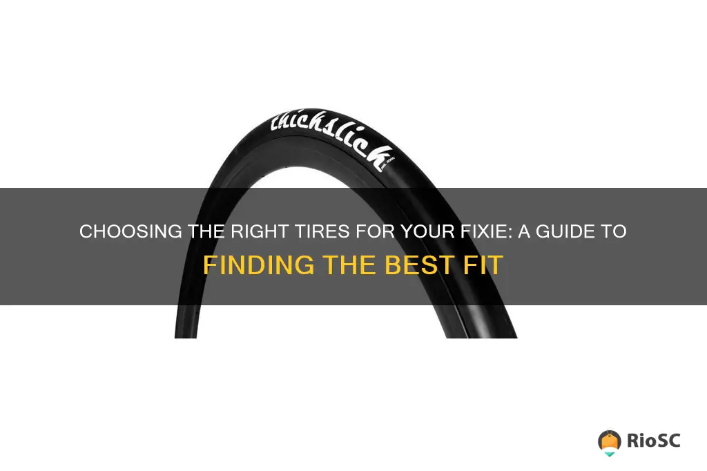 best tires for fixie bike