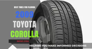 Top-Rated Tires for 2009 Toyota Corolla in Florida's Climate and Road Conditions
