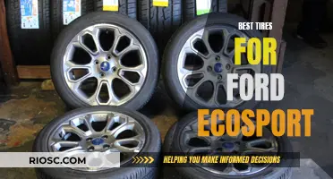 Ford EcoSport: Choosing the Right Tires for Optimum Performance