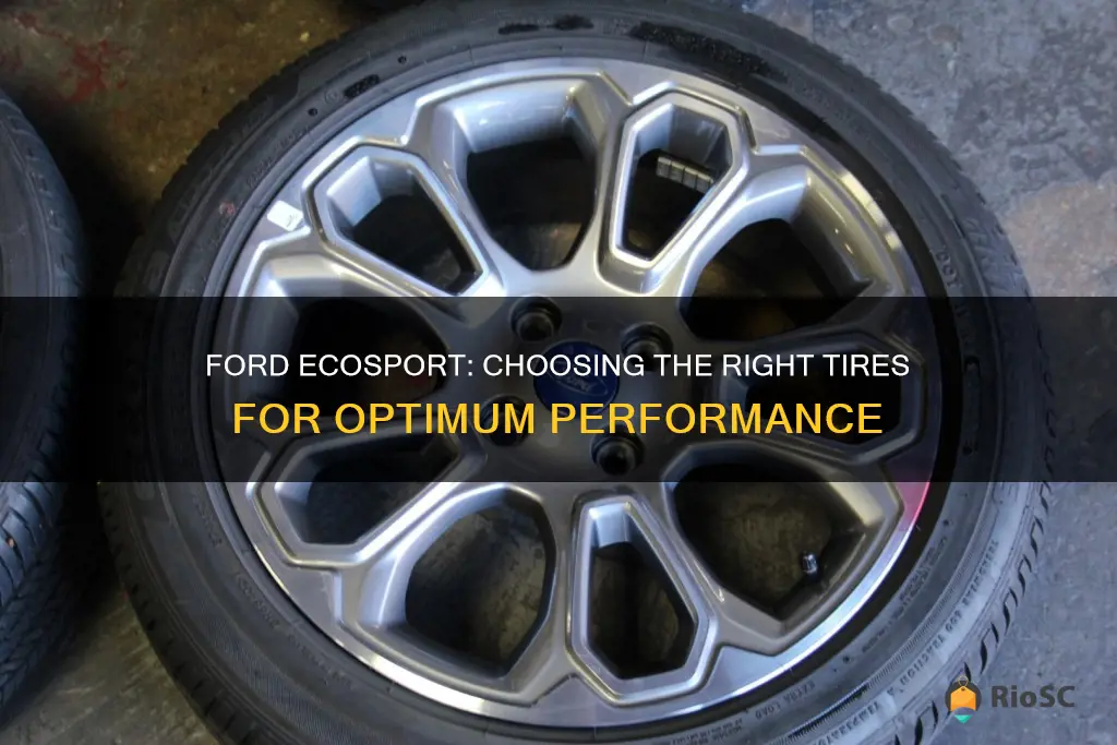 best tires for ford ecosport