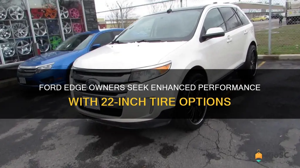 best tires for ford edge 22 inch