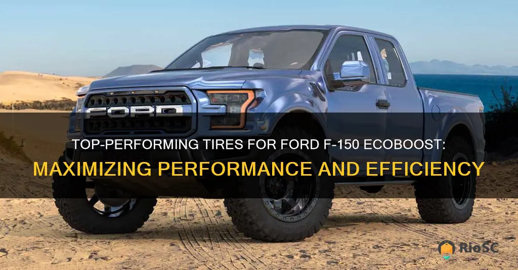 best tires for ford f150 ecoboost