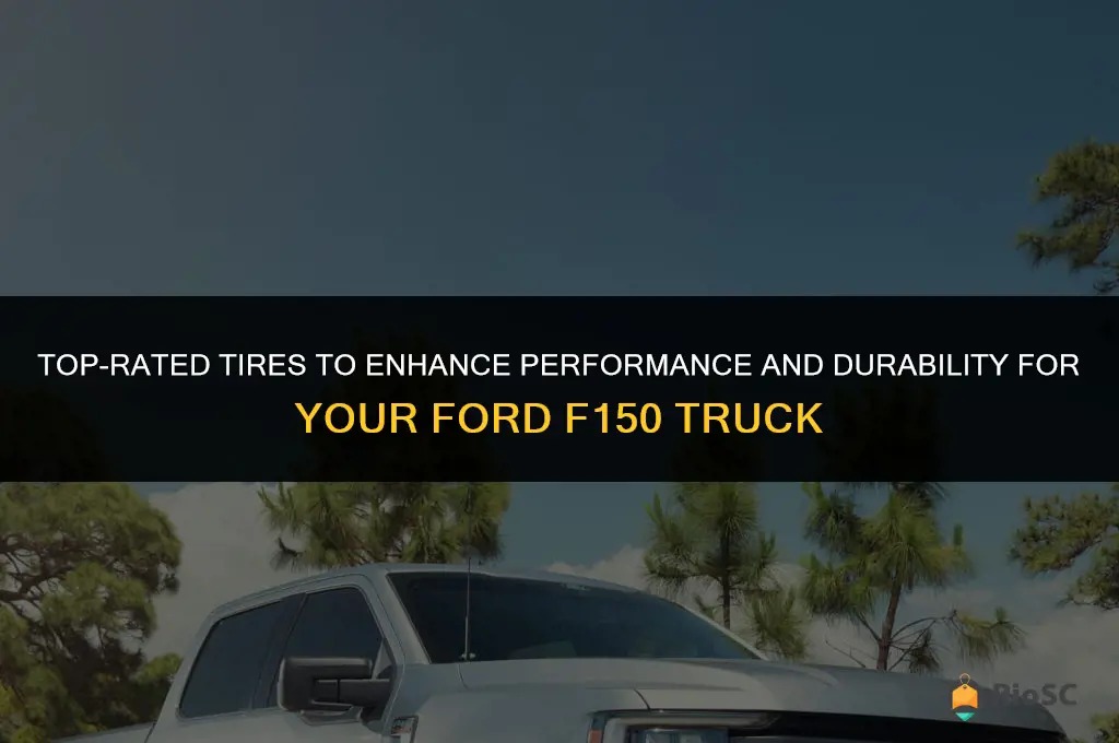 best tires for ford f150 truck