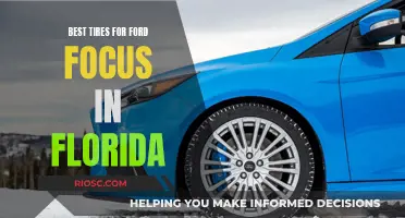 Florida Focus: Choosing the Best Tires for Smooth Sailing