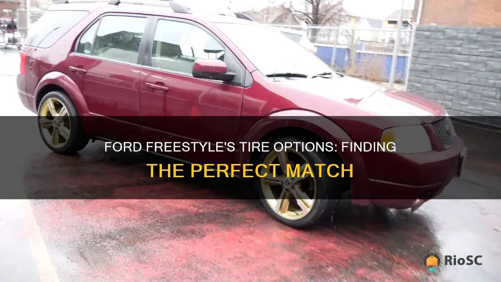 best tires for ford freestylr