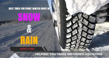 Conquering Winter Roads: Top Tire Picks for Snow and Rain Performance
