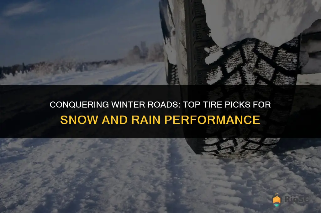 best tires for front winter drive in snow & rain