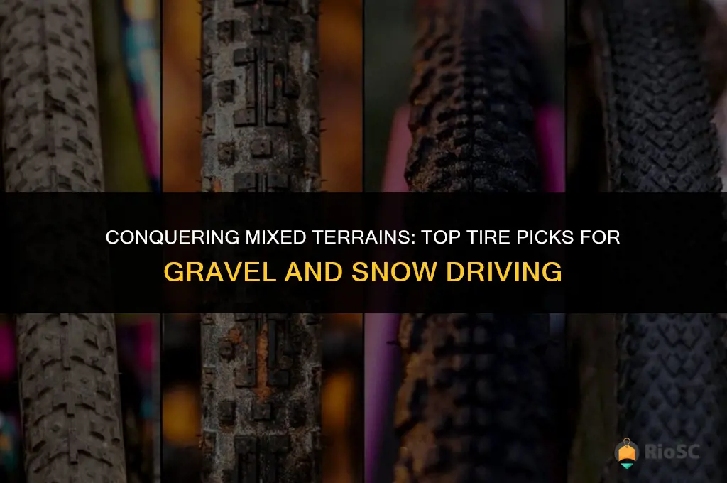 best tires for gravel and snow