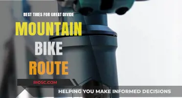Conquer the Great Divide: Top Tire Picks for the Ultimate Mountain Bike Adventure