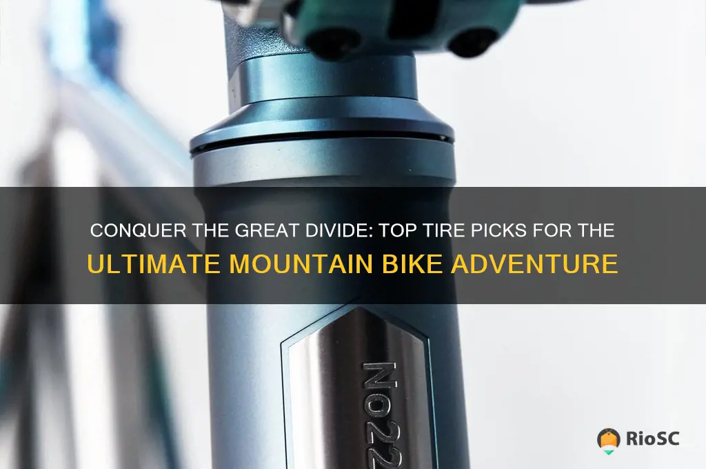 best tires for great divide mountain bike route