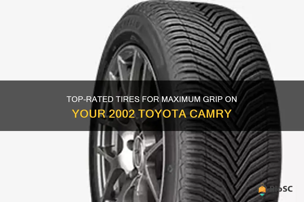 best tires for grip 2002 toyota camry