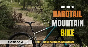 Top-Rated Tires for Hardtail Mountain Bikes: Enhance Your Ride and Conquer Any Terrain