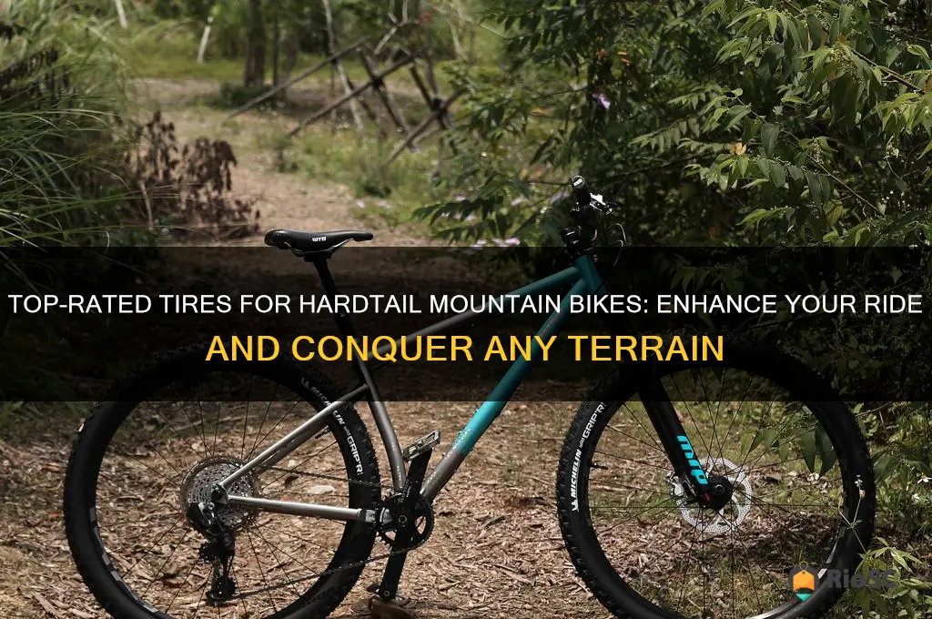best tires for hardtail mountain bike