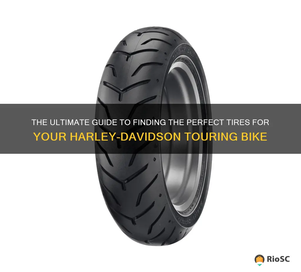 best tires for harley davidson touring bikes