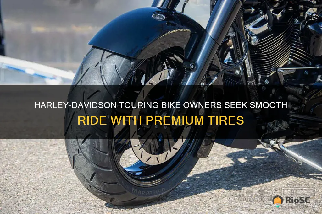 best tires for harley davidson touring bikes