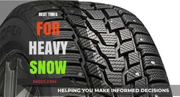 Conquering Winter Roads: Top Tire Picks for Heavy Snow Conditions
