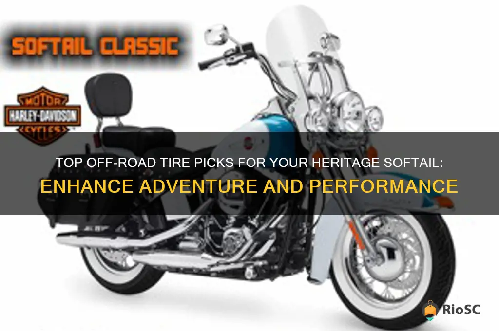 best tires for heritage softail off road