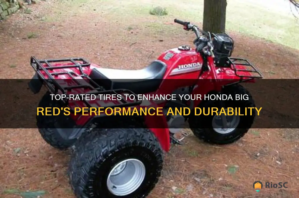 best tires for honda big red