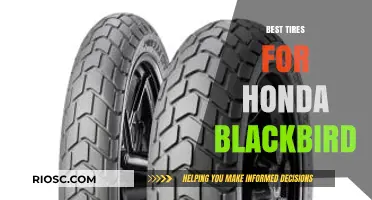 Top-Rated Tires to Maximize Performance for Your Honda Blackbird