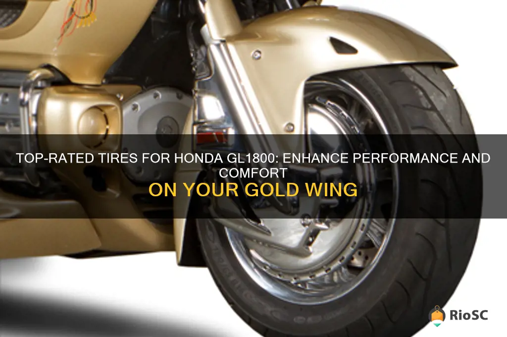 best tires for honda gl1800