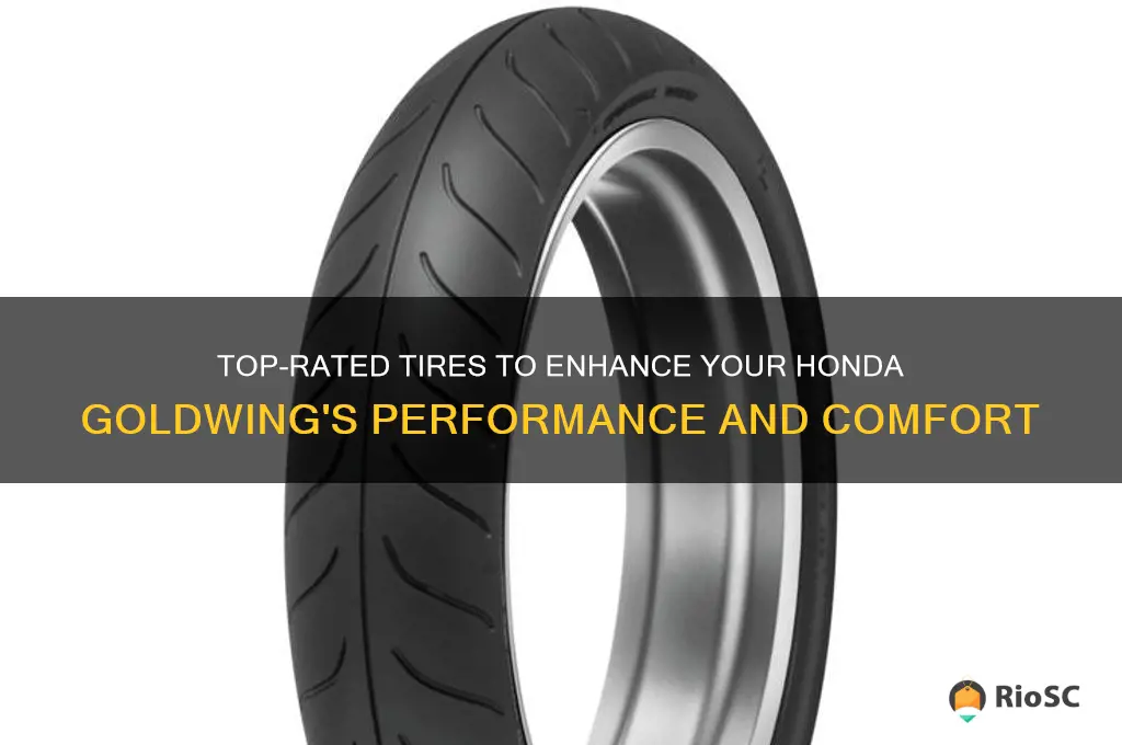 best tires for honda goldwing