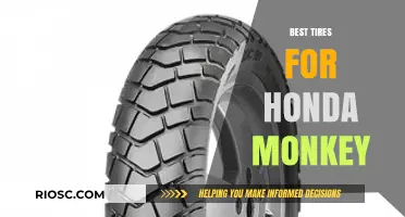 Top-Rated Tires to Enhance Your Honda Monkey's Performance and Style