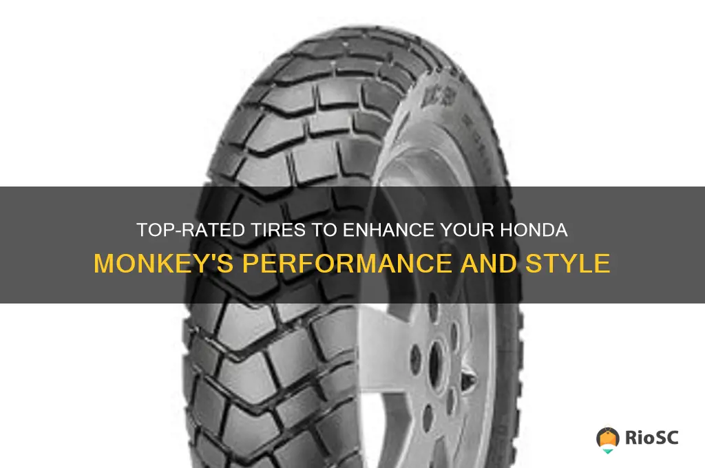 best tires for honda monkey