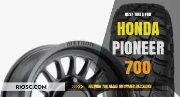 Top-Rated Tires to Enhance Your Honda Pioneer 700's Performance and Durability