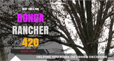 Top-Rated Tires to Enhance Your Honda Rancher 420's Performance and Durability