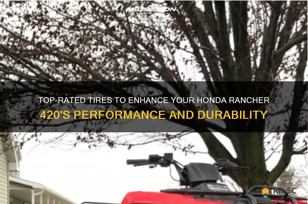 best tires for honda rancher 420