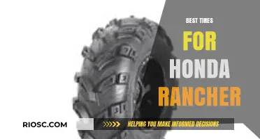 Top-Rated Tires to Enhance Your Honda Rancher's Performance and Durability
