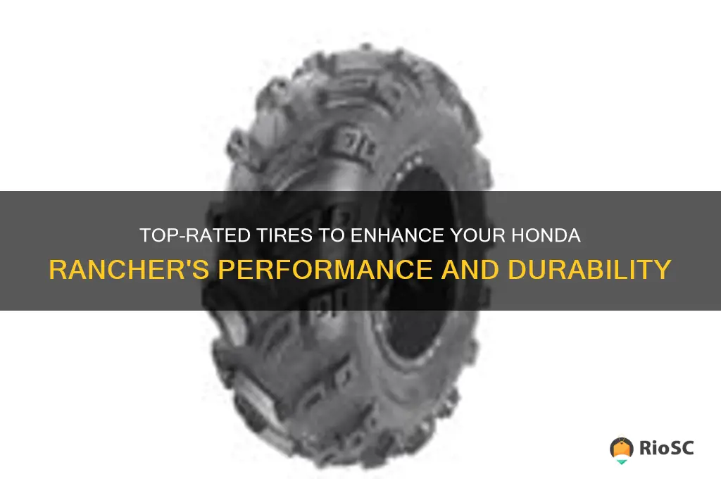 best tires for honda rancher
