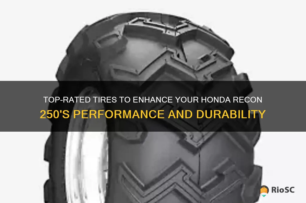 best tires for honda recon 250