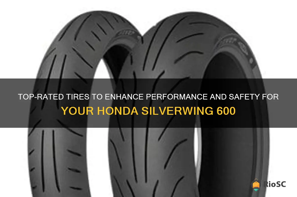best tires for honda silverwing 600