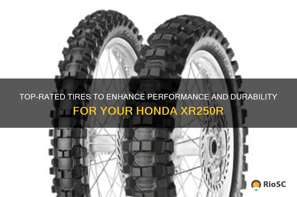 best tires for honda xr250r
