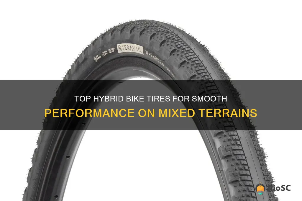 best tires for hybrid bike on mixed surfaces