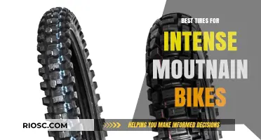 Top-Rated Tires for Extreme Mountain Biking: Unleash Your Ride on Any Terrain