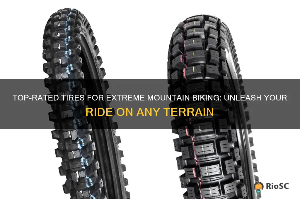 best tires for intense moutnain bikes