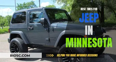 Jeep Owners in Minnesota: Choosing the Right Tires for All Seasons