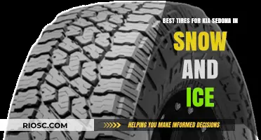 Conquering Winter Roads: Top Tire Picks for Your Kia Sedona in Snow and Ice Conditions