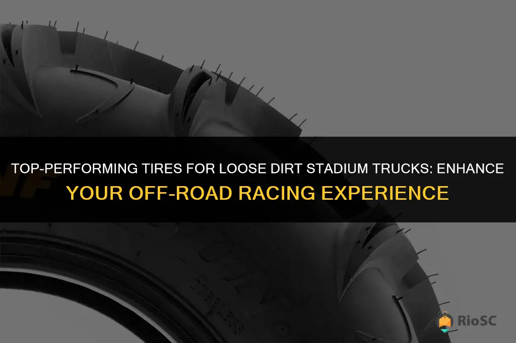 best tires for loose dirt stadium truck