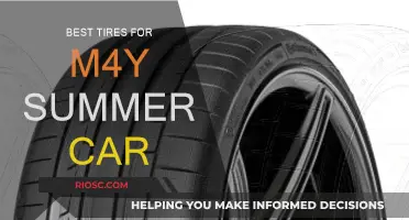 Tire Talk: Choosing the Best Rubber for Your Summer M4